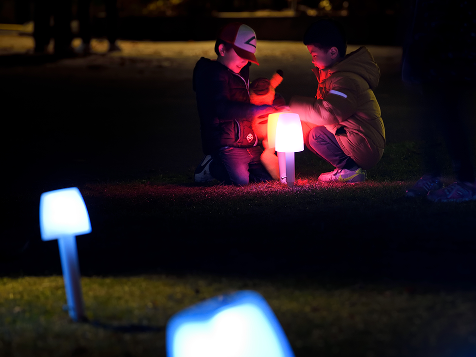 Illuminated mushroom path installation