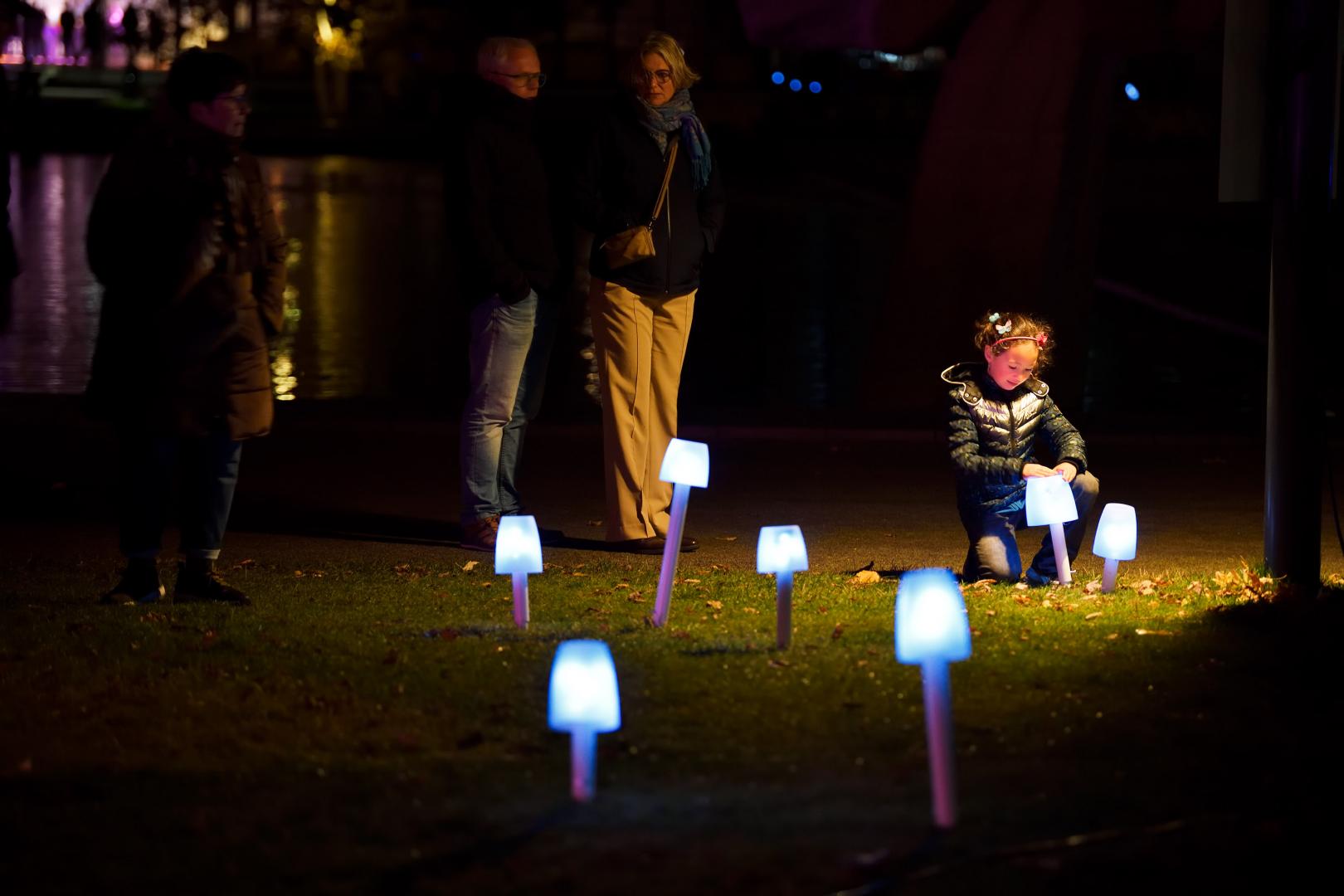 Illuminated mushroom path installation