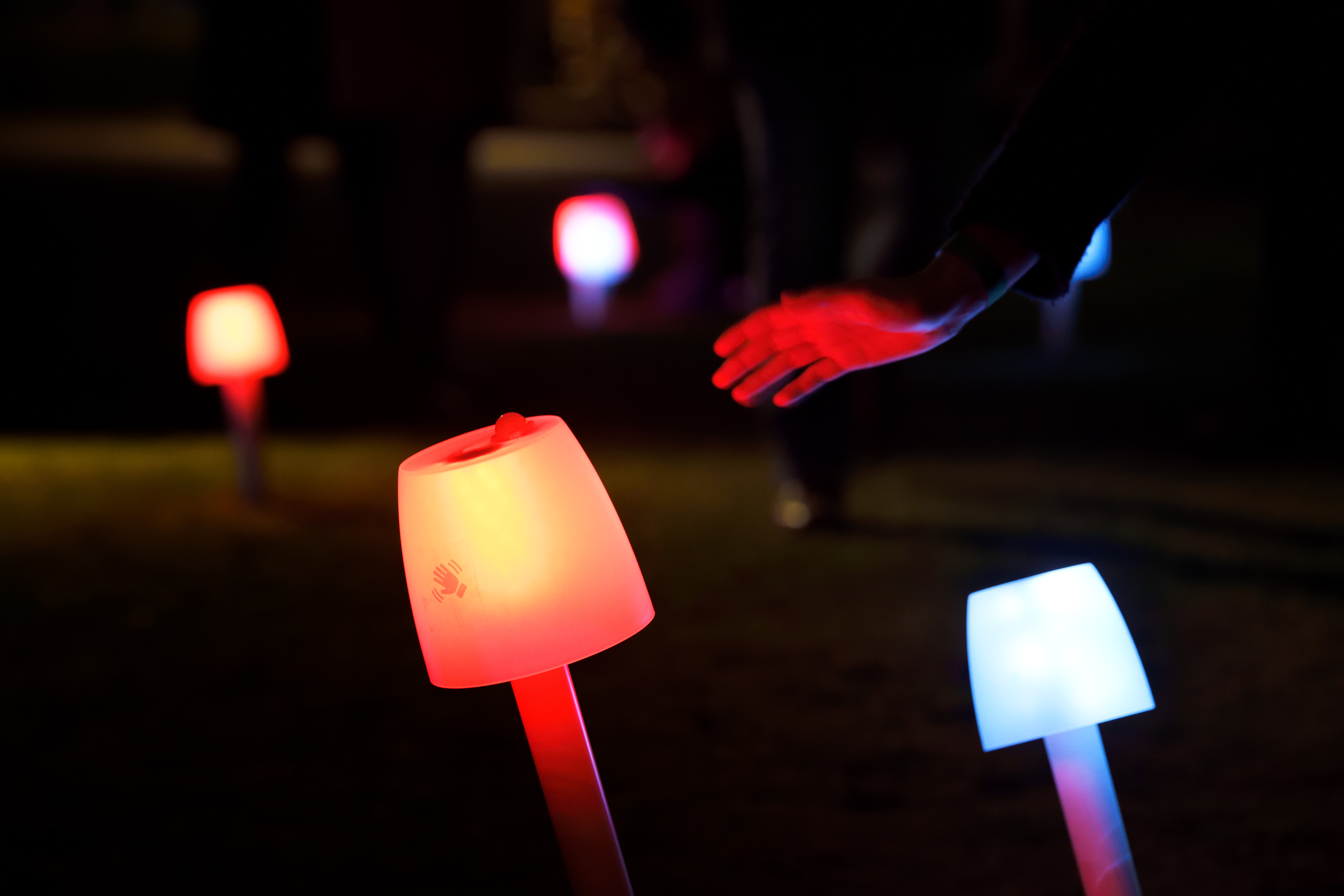 Illuminated mushroom path installation